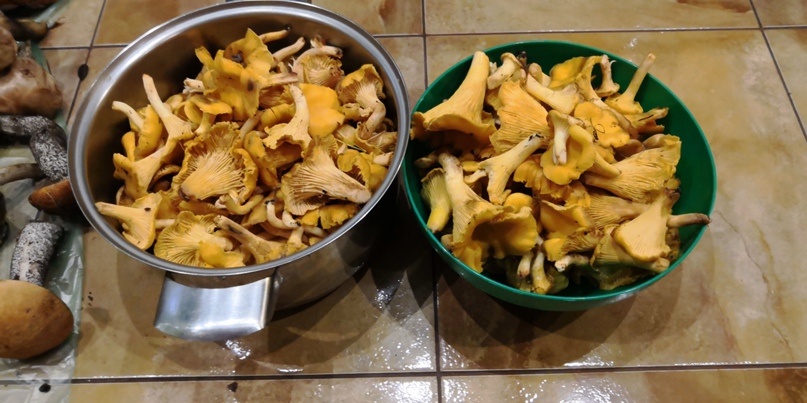 Светлана Юшкова | Санкт-Петербург