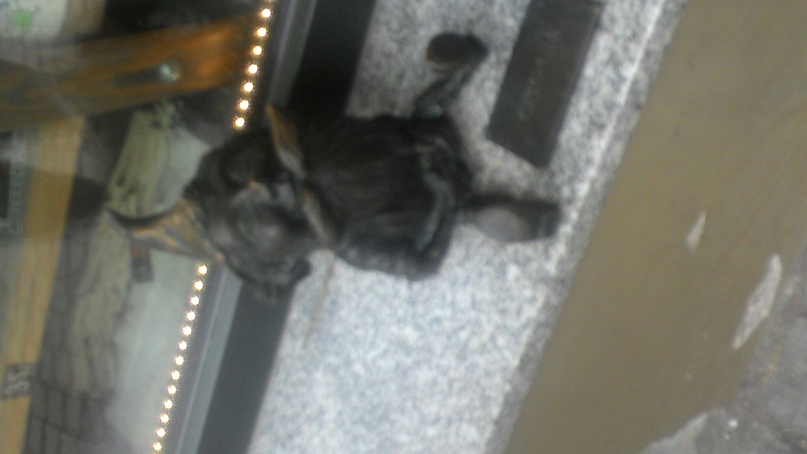 Ольга Дубовик | Минск