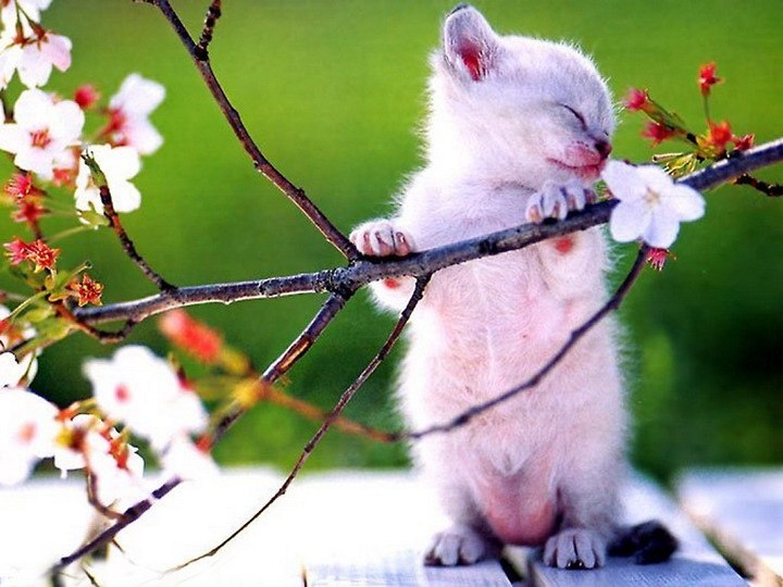 Александр Дугин | Санкт-Петербург