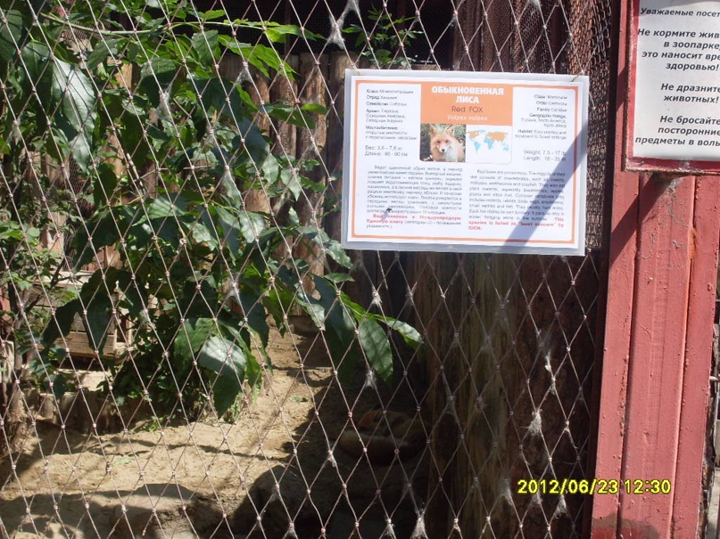 Андрей Ковязин | Вахруши (пгт)