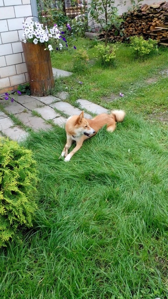 Руслан Гребнев | Минск