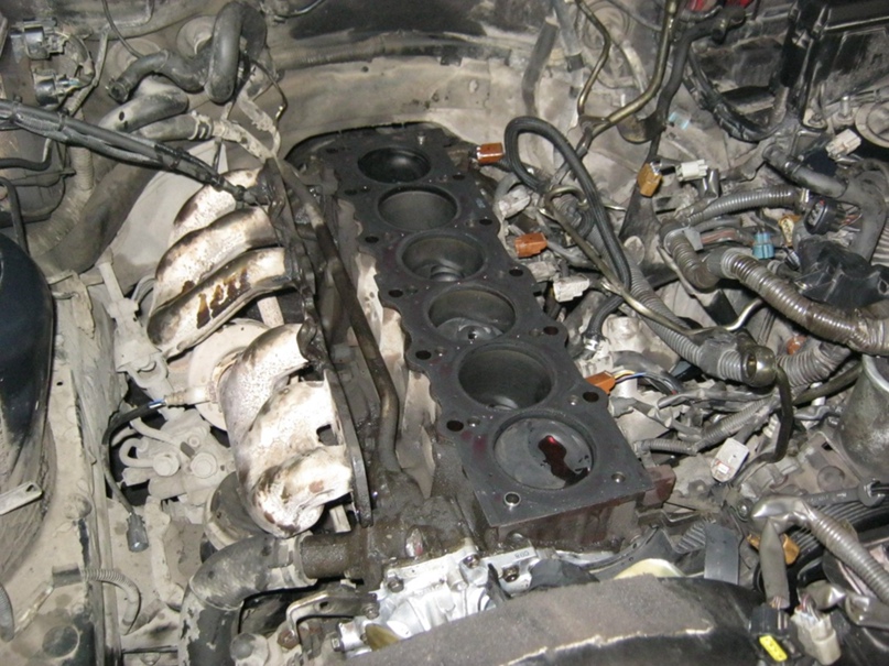 Алексей Колмаков | Новосибирск