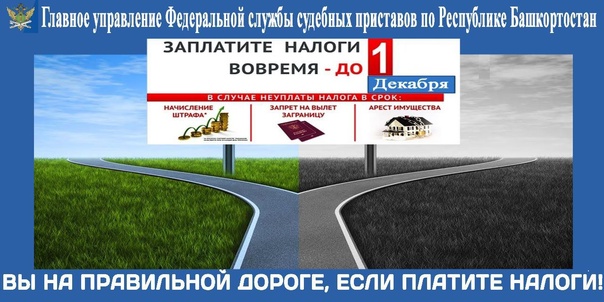 МКУ Управление образования г.Бирск Муниципальное казенное учреждение Управление