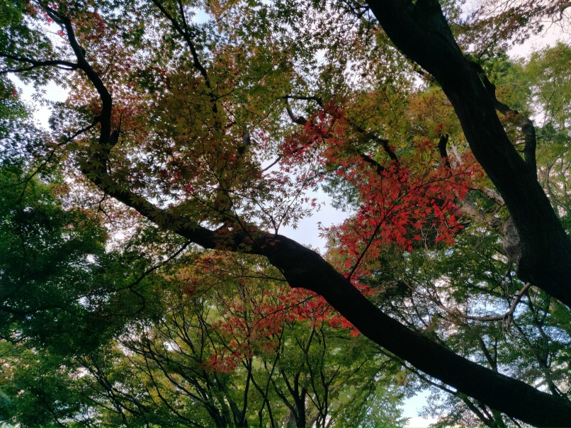 Дмитрий Аникин | Москва