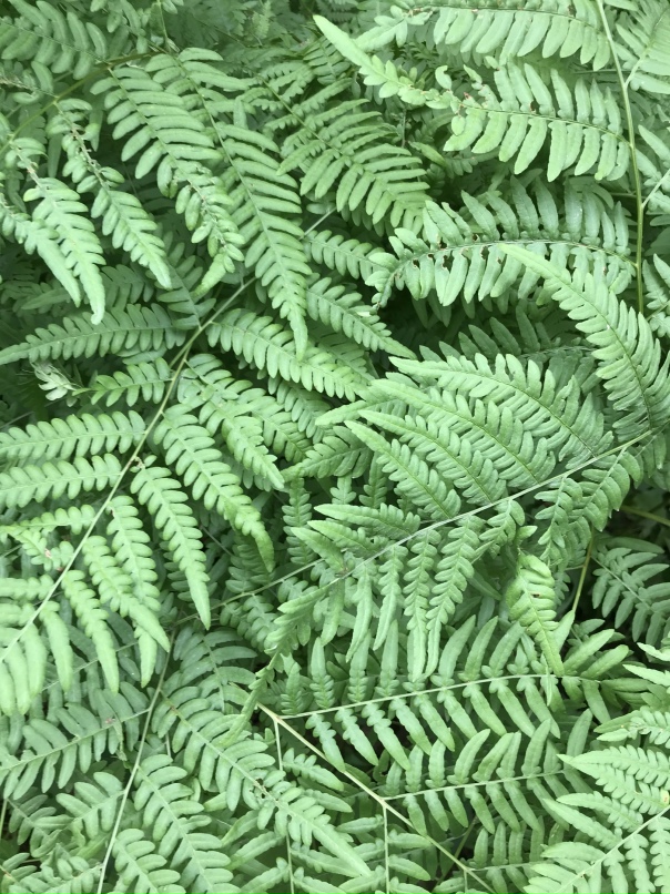 Андрей Шестаков |