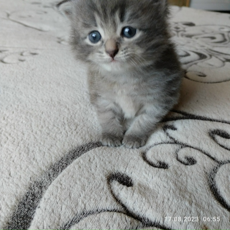 Наталья Сергеевна | Котельнич