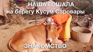 Uddhava Baba Goshala знакомство ( перезалив)