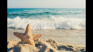 sActum - Sea Star Has Passed