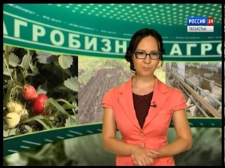 Россия 24  Агробизнес 31 07 16 ТАТАРСТАН