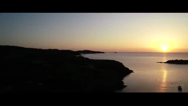 While Wild Paradise ( Official Music