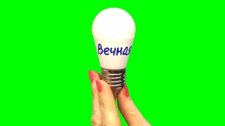 Вечная лампочка!