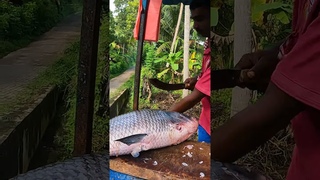 15Kg Catla Fish Cutting #fishcutter #fishcuttingskills