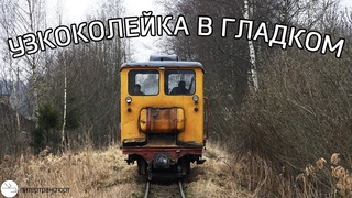 Узкоколейка в Гладком