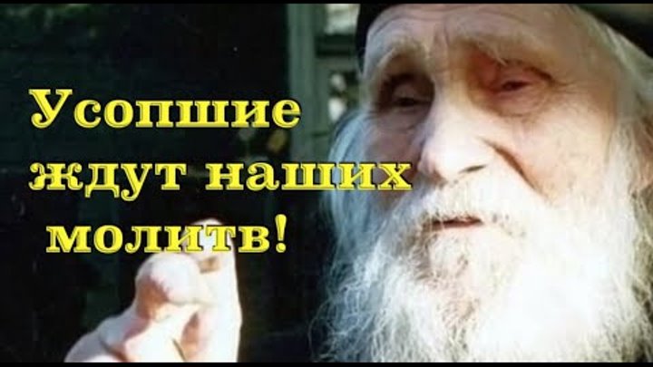 Усопшие ждут наших молитв Старец Николай