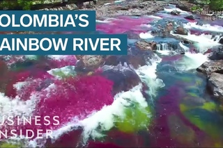 Rainbow River In Colombia Is The Most Beautiful In The World