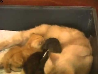 When Motherhood Comes   Everything is possible