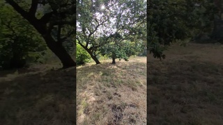 MONTE TUSCOLO TRA RUDERI ANTICHI E BELLEZZE NATURALI - STORIA E NATURA SI INCONTRANO(5)