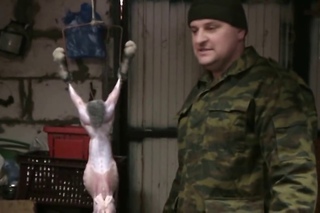 забой и разделывание кролика (видео 13)