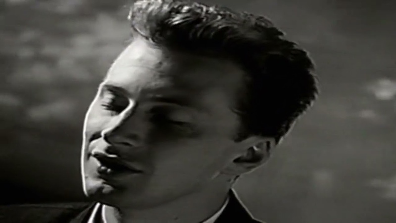 Black Wonderful Life ( Dim Zach