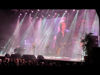 Luque in live *Raphael* tour Festival Pedralbes