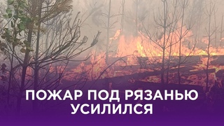 МЧС: вторая линия обороны от лесных пожаров под Рязанью готова
