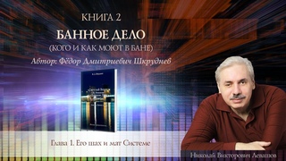 О Левашове Н.В   Книга 2 БАННОЕ ДЕЛО Глава 1. Его шах и мат Системе - автор Ф.Д. Шкруднев