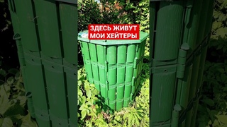 Мой ответ💥Отличное удобрение!
