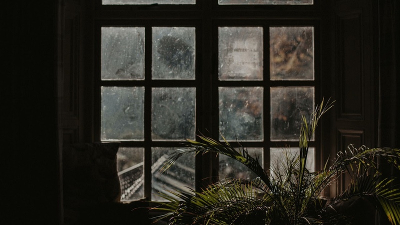 Studying with poets long gone A DARK ACADEMIA PLAYLIST