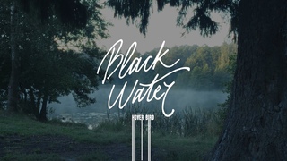 Hover Bird  Black Water