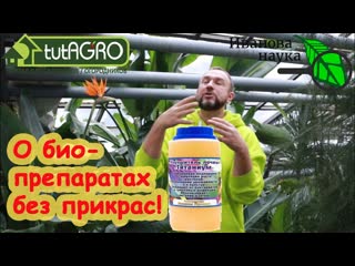 4 ВАЖНЫХ ВОПРОСА О БИОПРЕПАРАТАХ. Что умеет триходерма, можно ли переборщить и что с чем смешивать