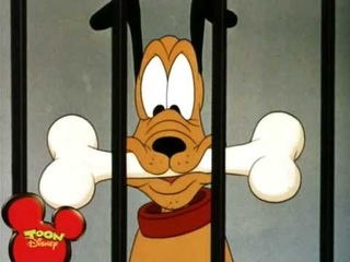 Pluto allo Zoo