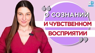 О сознании и чувственном восприятии | Мой путь к Жизни