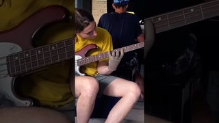 Natural harmonics on bass #music #guitar #bass #fretlessbass #fretless