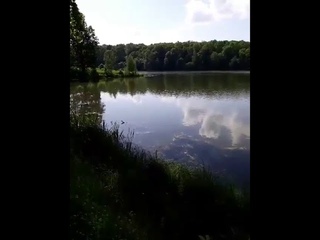 Полная ГАРМОНИЯ...