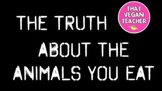 The Truth About The Animals We Eat