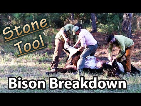 Stone Knives Bison