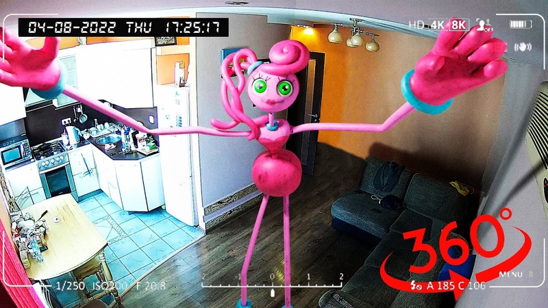 Заснял Mommy Long Legs на СКРЫТЫЕ КАМЕРЫ мама длиные ноги с