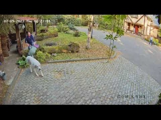 Маркиз жертвует дочерью