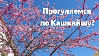 Утренная прогулка в Кашкайше