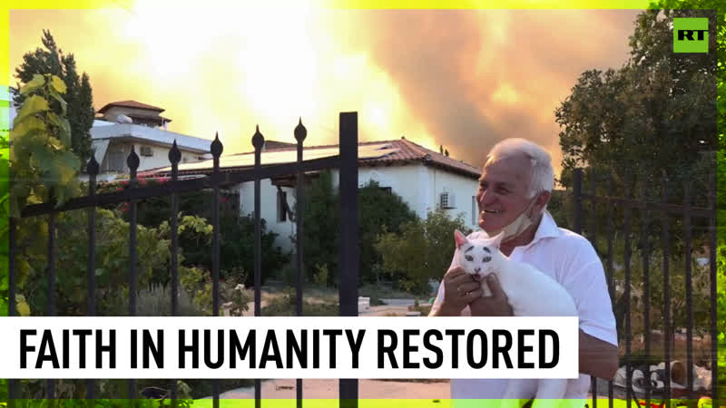 Rhodes man cares for stray cats amid raging