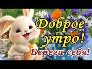 Доброе утро! Счастливого дня! Береги себя! Утренний Позитив для Друзей!