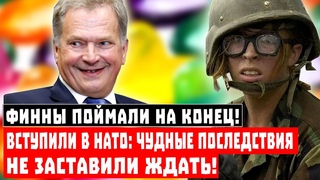 Финны поймали на конец! Вступили в НАТО: чудные последствия не заставили ждать!